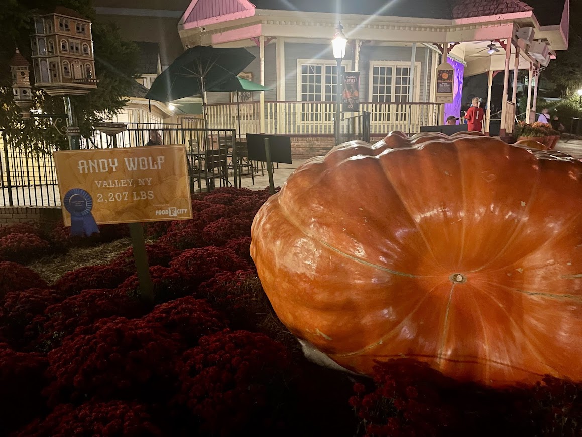 Dollywood Pumpkin Display